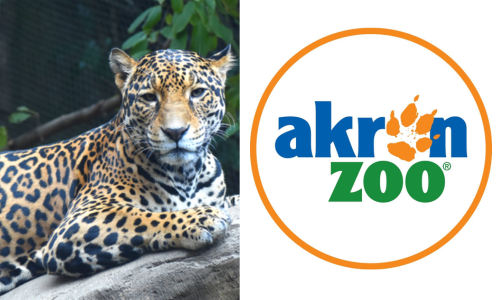 akron zoo logo