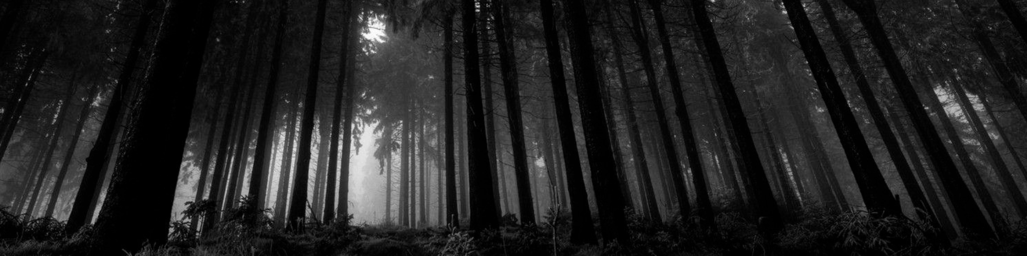 Long dark hallway with yellow walls and fluorescent lights