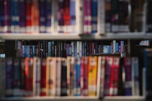 Books standing on shelves