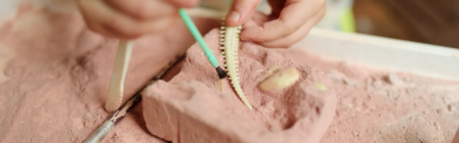 Child digging out a small plastic fossil from clay with a paintbrush.