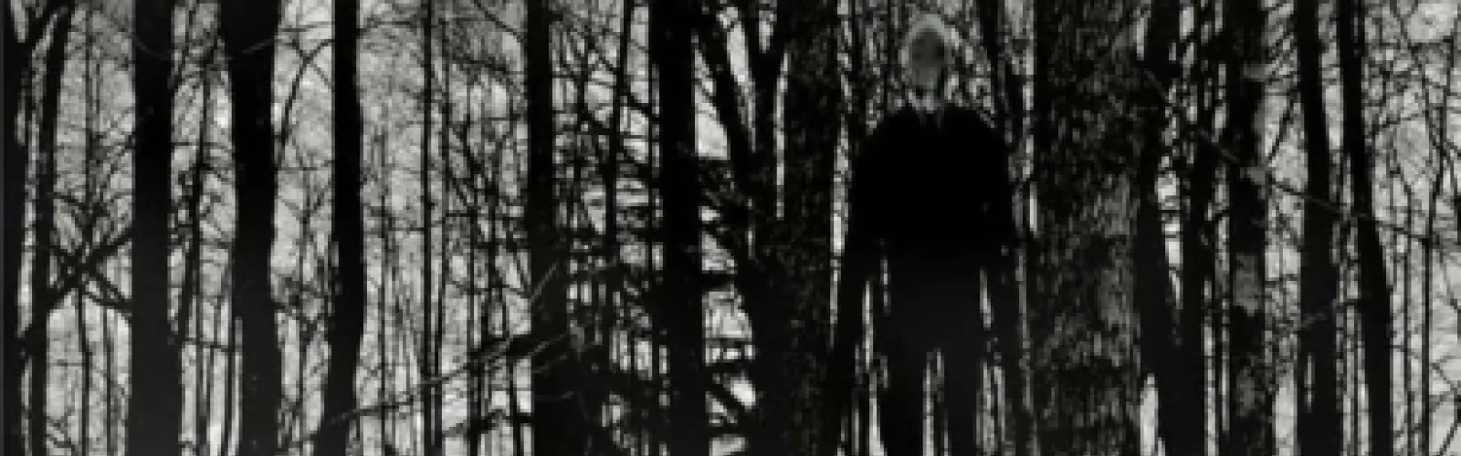 black and white forest with slenderman