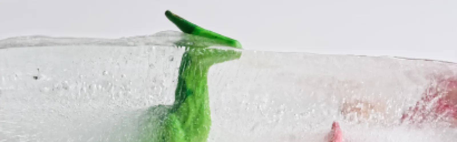 a green plastic dinosaur frozen in ice