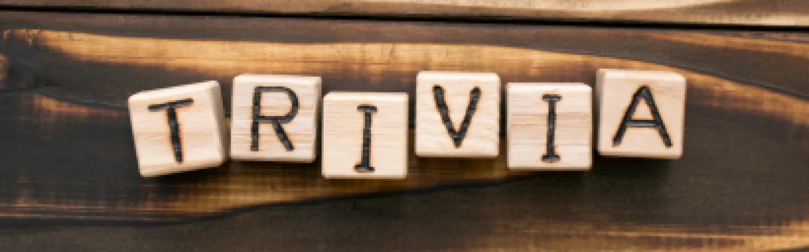 Scrabble-like tiles spelling out the word Trivia