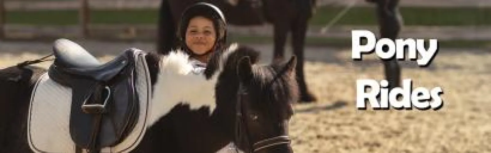Pony Rides